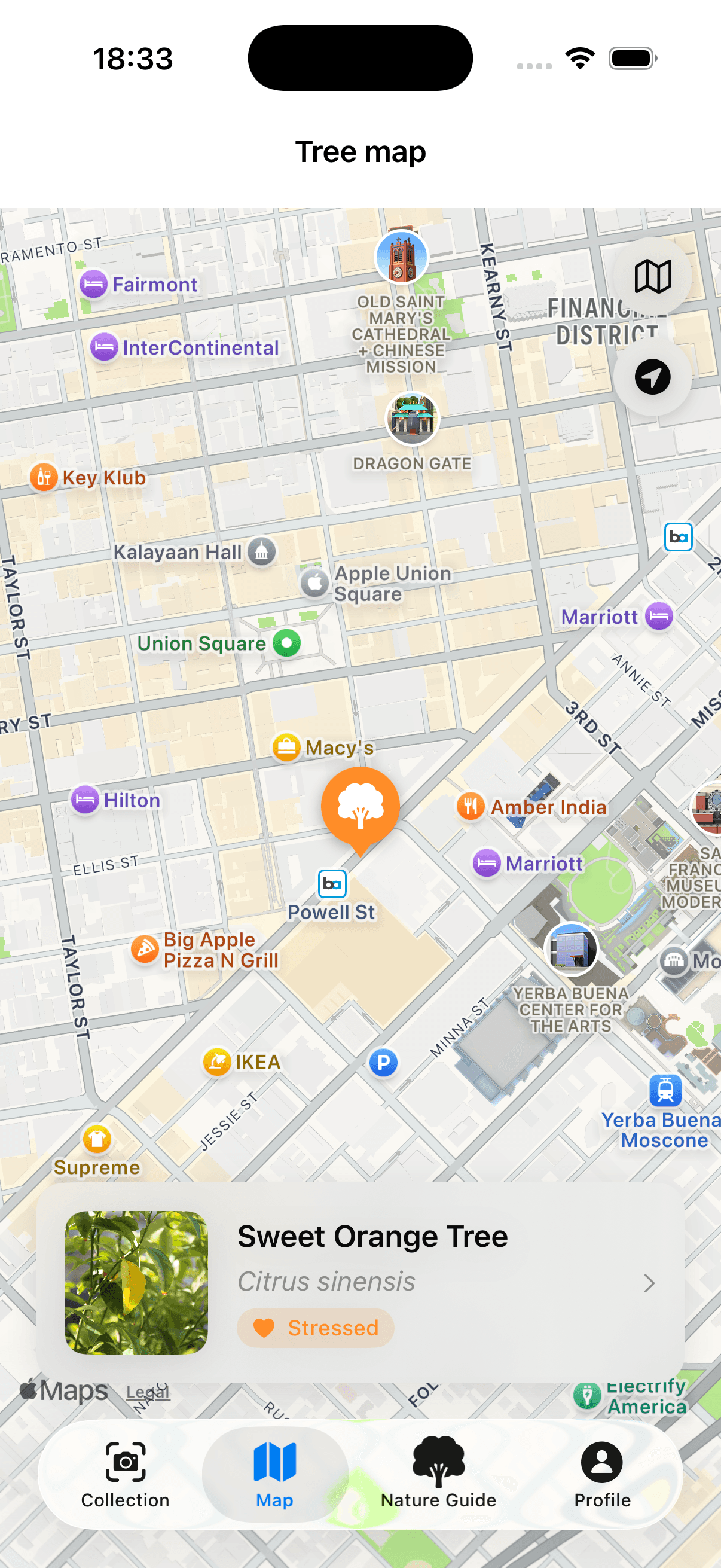 TreeBarkID Screenshot 3